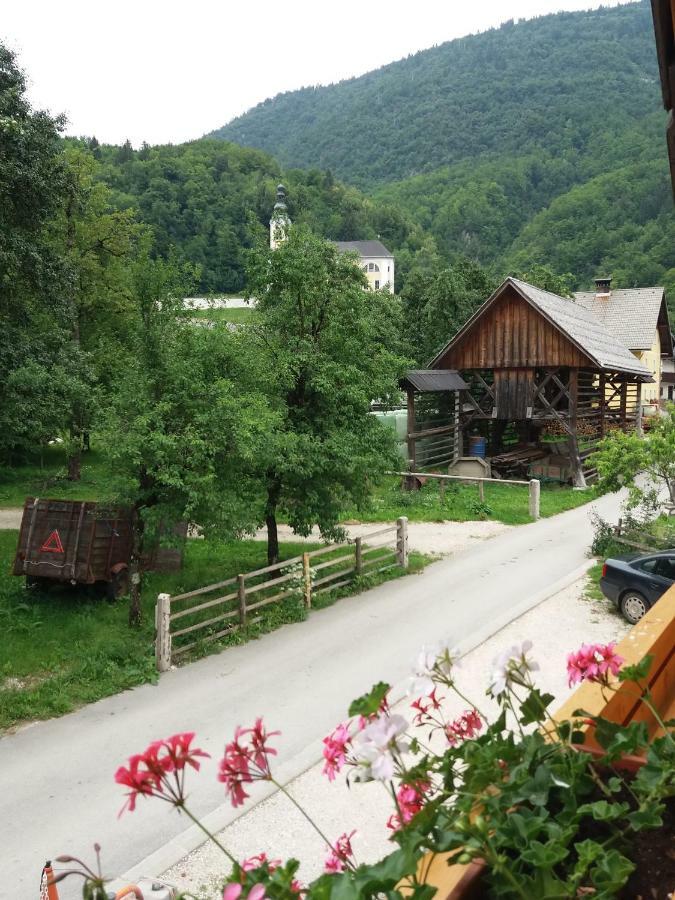 Apartma Momo Bohinj Zewnętrze zdjęcie